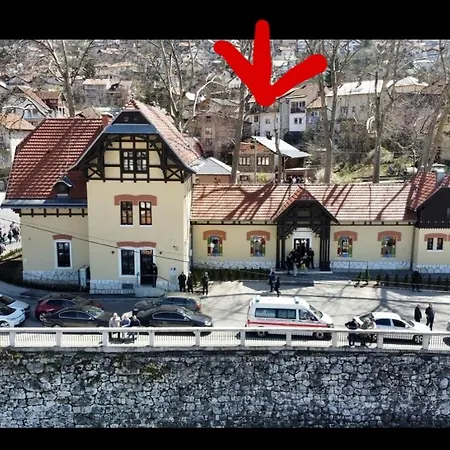 Cemo Saraievo