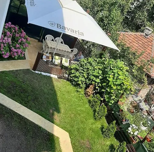 Cemo * Сараево